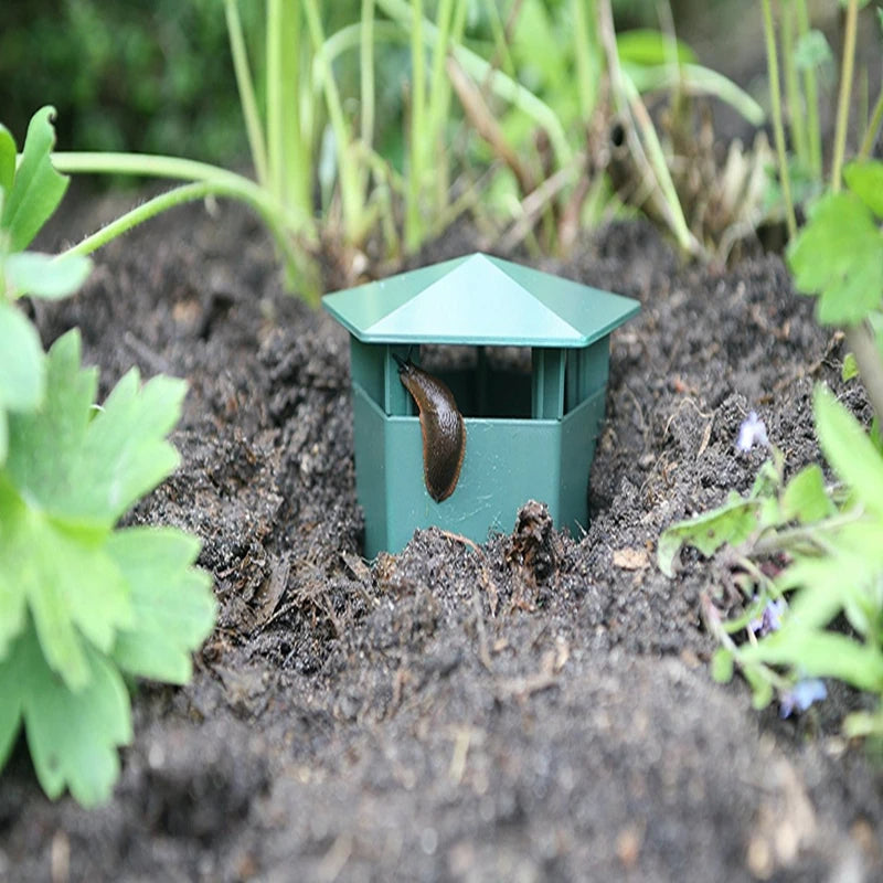 🐌 Piège à limaces – Dites adieu aux limaces tueuses dans votre jardin 🌱
