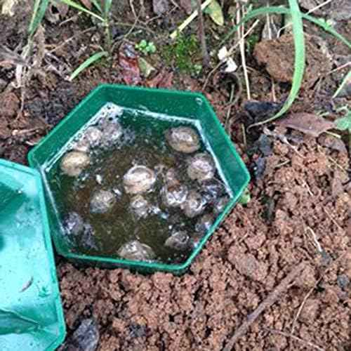 🐌 Piège à limaces – Dites adieu aux limaces tueuses dans votre jardin 🌱