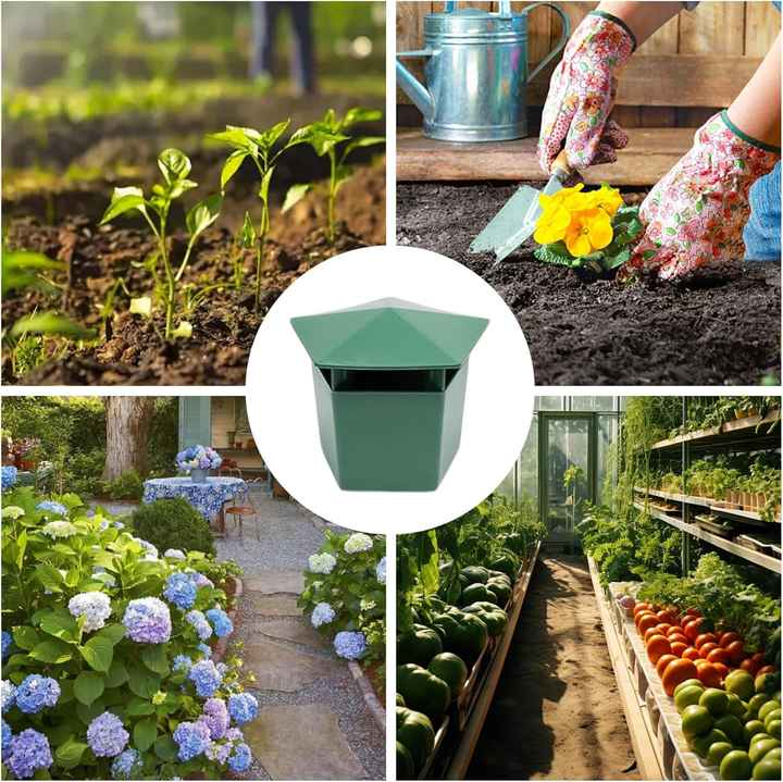 🐌 Piège à limaces – Dites adieu aux limaces tueuses dans votre jardin 🌱